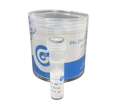 Pfu DNA Polymerase