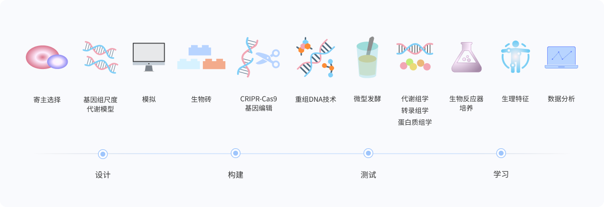 合成生物学解决方案
