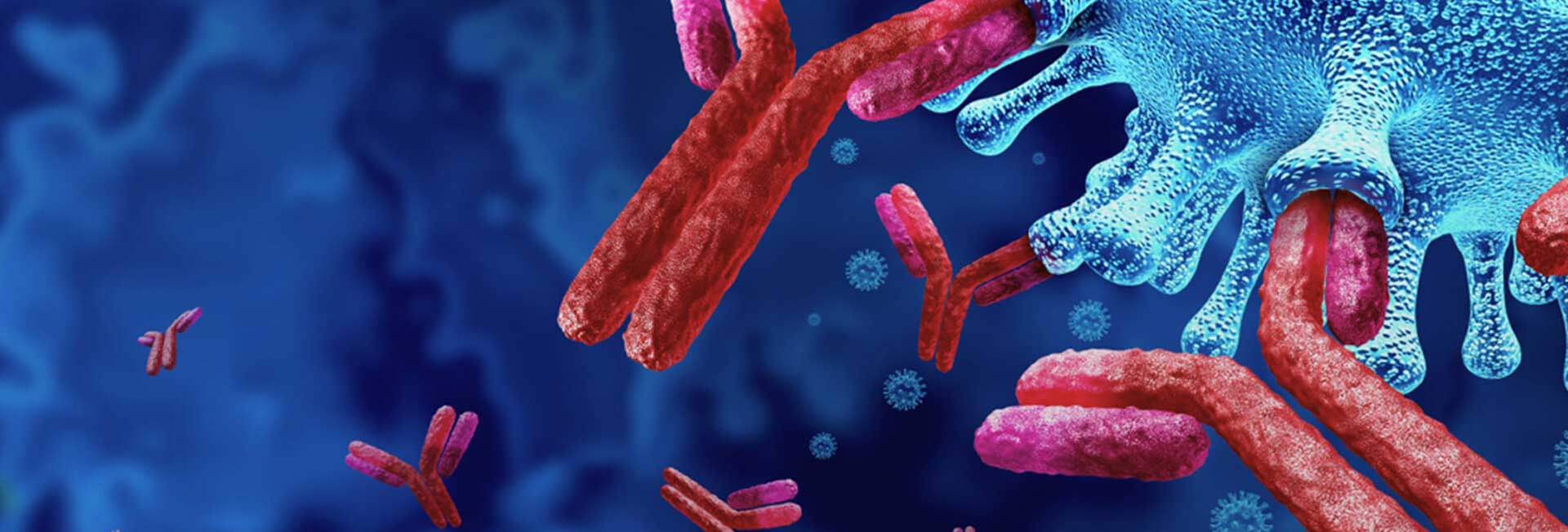 ASCO 2026启示录：双抗浪潮加速抗体药物迭代，自动化基因服务筑牢创新地基！