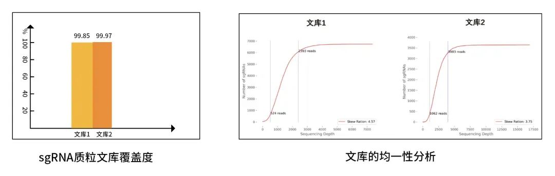 微信图片_20260609171254_122_17