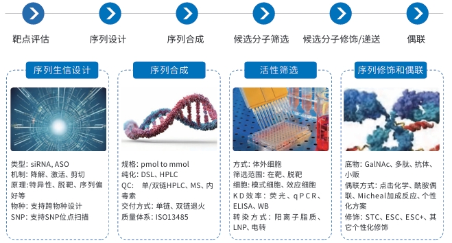 屏幕截图_10-6-2026_91033_