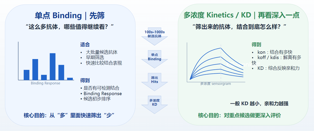 企业微信截图_17872936123442