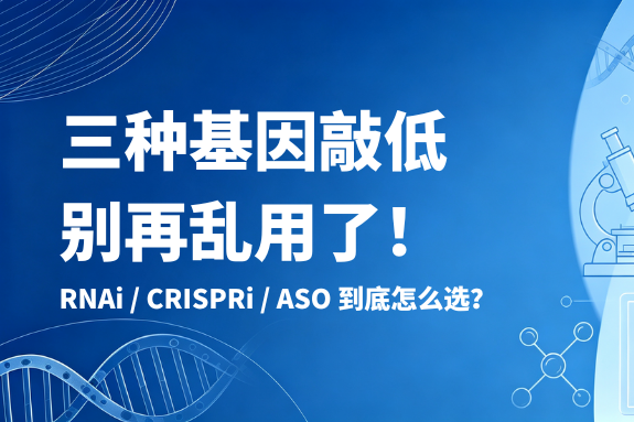 一文搞定基因敲低界的“三剑客”：RNAi、CRISPRi和ASO到底怎么选？