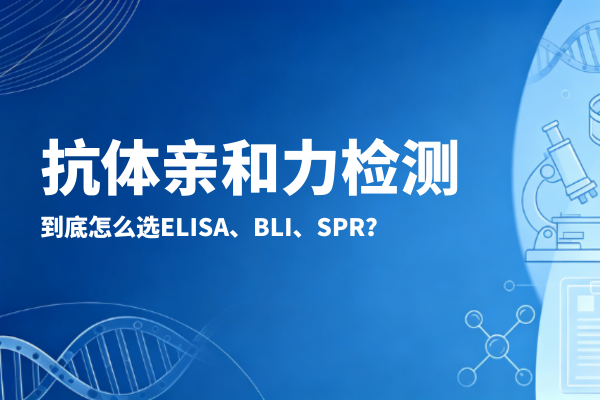 君跻生物亲和力检测技术：ELISA、BLI与SPR如何选择？