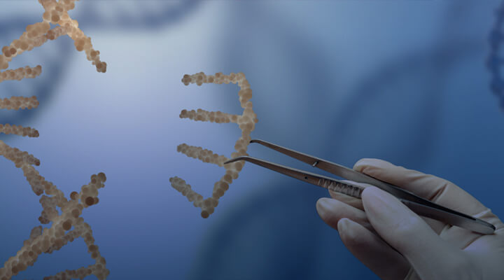 君跻生物前沿聚焦：2026年sgRNA从“导航仪”进化为基因编辑的“操作系统”